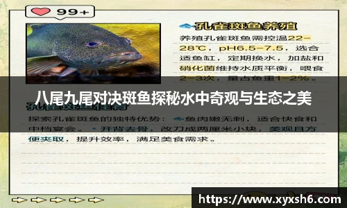 6163银河官网